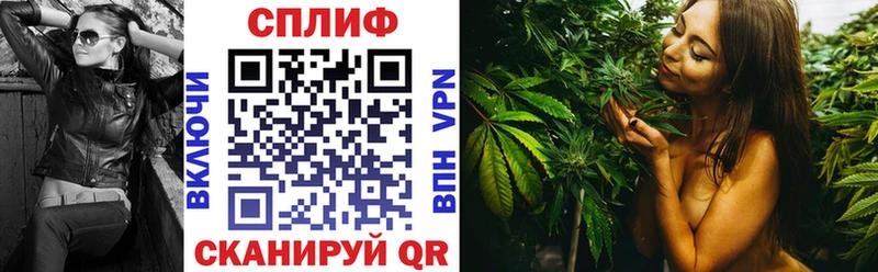 Купить закладку Кингисепп ГЕРОИН A-PVP КОКАИН Амфетамин Конопля Мефедрон ГАШ