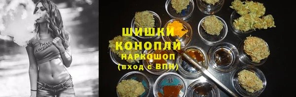 стаф Абаза