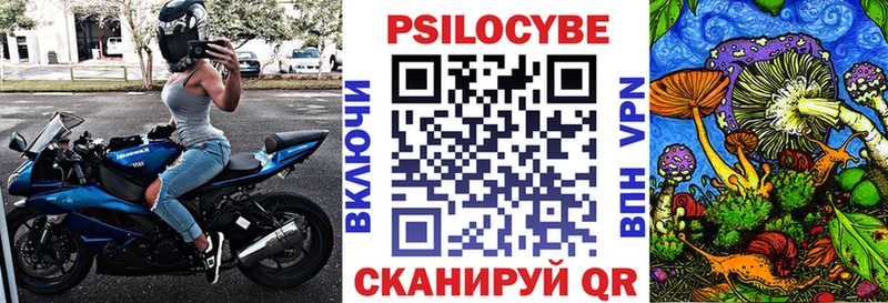 Галлюциногенные грибы мицелий  дарк нет клад  Кингисепп 