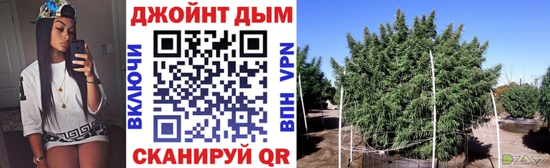дарнет шоп  Кингисепп  ссылка на мегу онион  Марихуана THC 21% 
